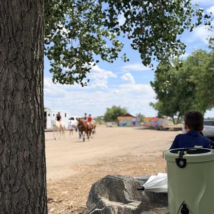 Horses on the trail beyond the picnic area